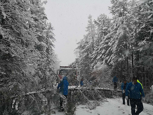 景區(qū)安全運(yùn)營的“捍衛(wèi)者”